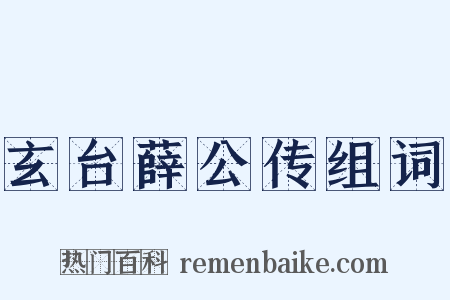 玄台薛公传组词是什么意思的图片